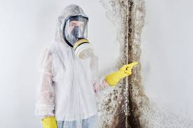 Mold Remediation for Rental Properties in Chapel Hill, TN